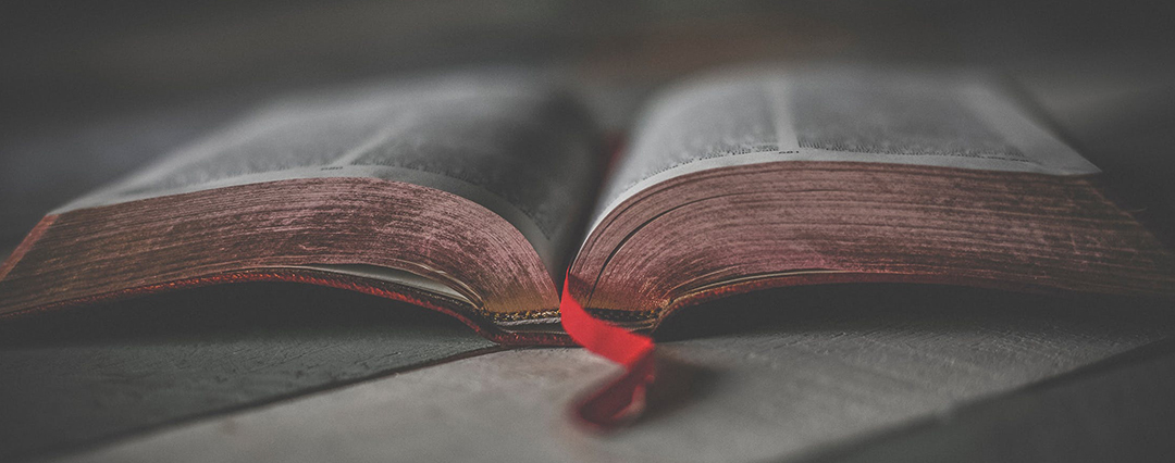 Back to Basics Back to Basics