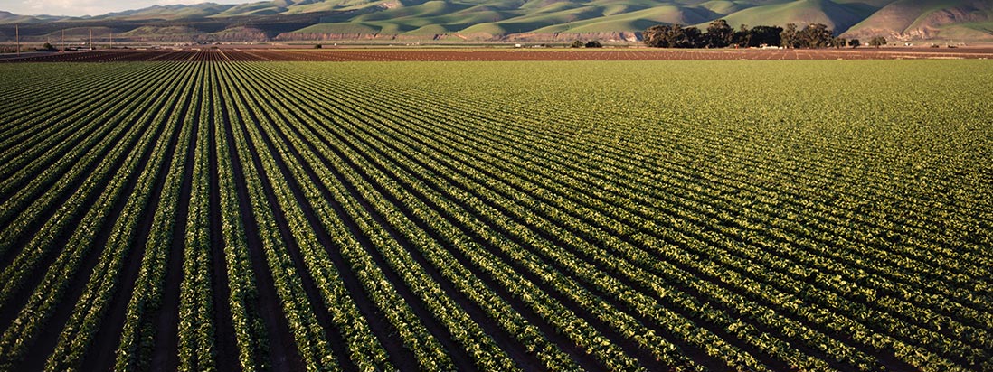 Ag Happenings Ag Happenings